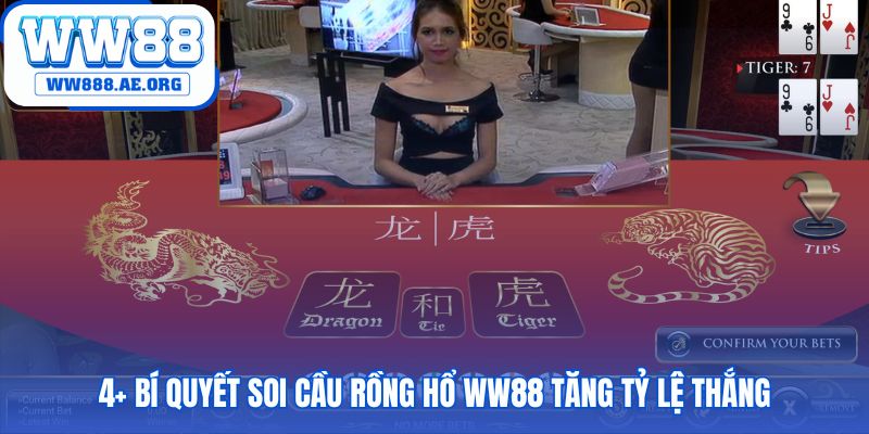 Bí quyết soi cầu rồng hổ WW88 phân tích lịch sử phiên cược cũ
