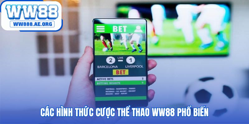 Các hình thức cược thể thao WW88 từ bóng đá đến Tài Xỉu