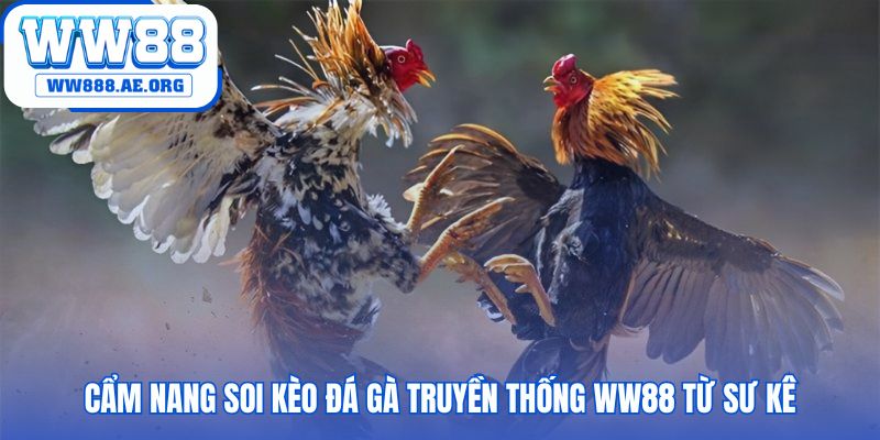 Cẩm nang soi kèo hệ thống hóa kinh nghiệm từ các sư kê