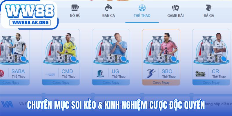 Soi kèo độc quyền hé lộ phân tích chuyên sâu từ chuyên gia