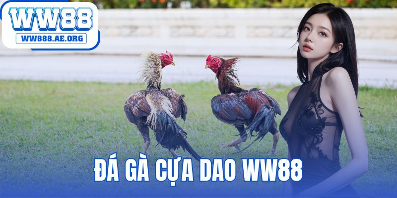đá gà cựa dao WW88
