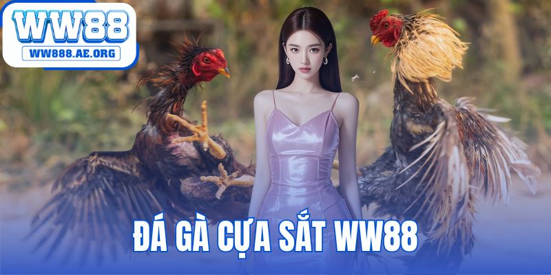 Đá Gà Cựa Sắt WW88