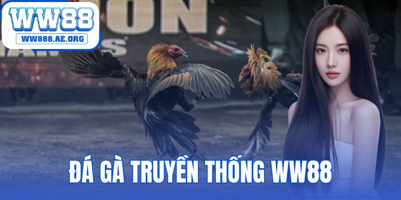 Đá Gà Truyền Thống WW88