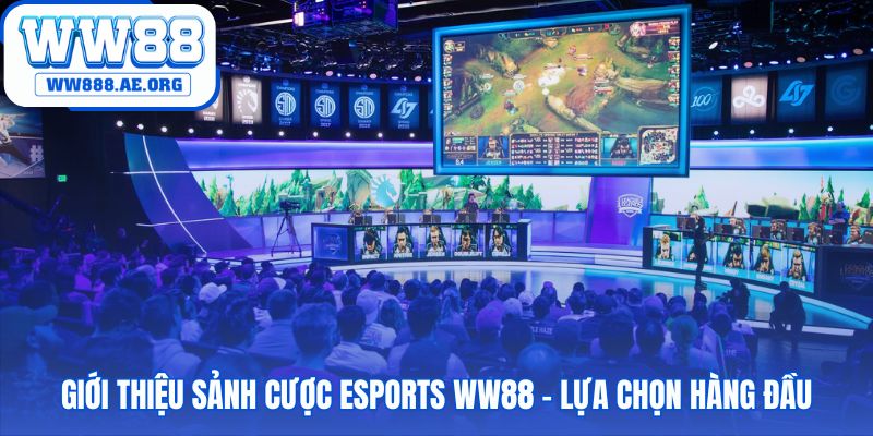 Sảnh cược WW88 có nhiều nhà cung cấp kèo uy tín hàng đầu