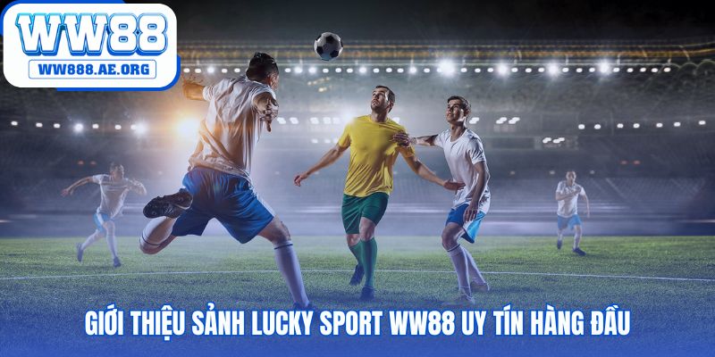 Sảnh thể thao độc quyền ứng dụng công nghệ luồng dữ liệu