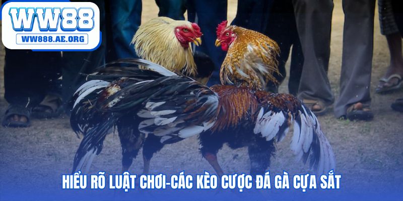 Luật chơi đá gà cựa sắt WW88 gồm kèo Meron Wala và BDD