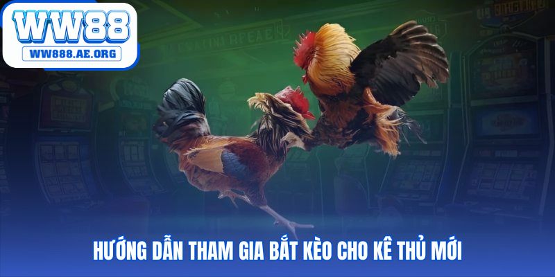 Tụ điểm đá gà gây cấn WW88 có quy trình tham gia dễ dàng