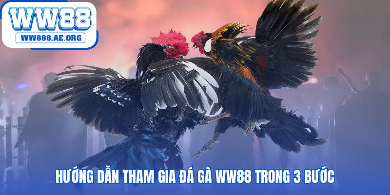 Gia nhập đấu trường nhanh chóng qua 3 bước đơn giản