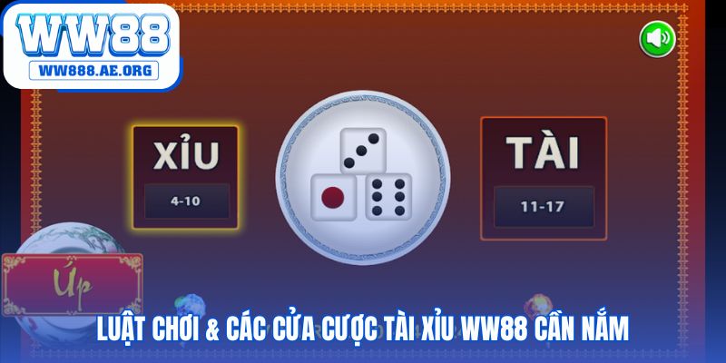 Luật chơi hệ thống hóa 5 cửa cược chính của tài xỉu WW88