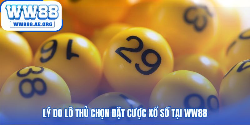 Hấp dẫn người chơi nhờ tỷ lệ thưởng cao và bảo mật tuyệt đối