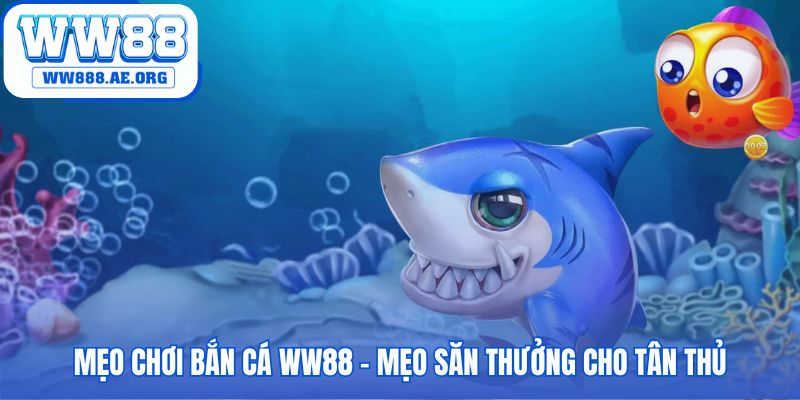 Mẹo chơi bắn cá WW88 hiệu quả cho người chơi mới