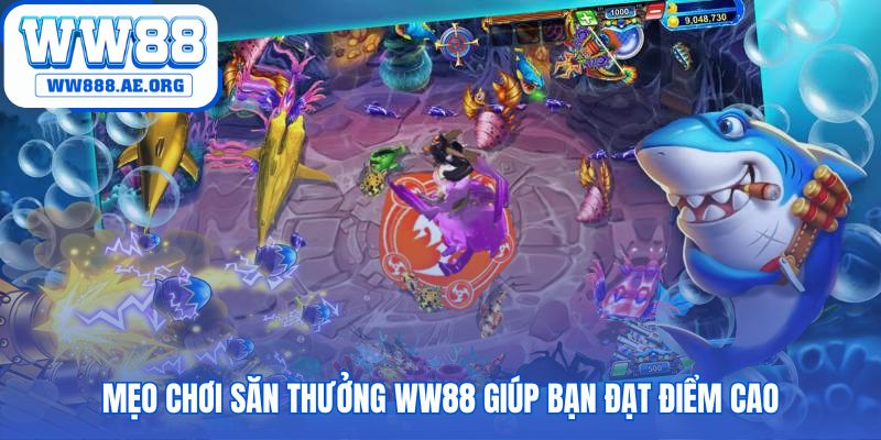 Bật mí cách chơi bắn cá thắng lớn tại WW88 qua các mẹo chuyên nghiệp