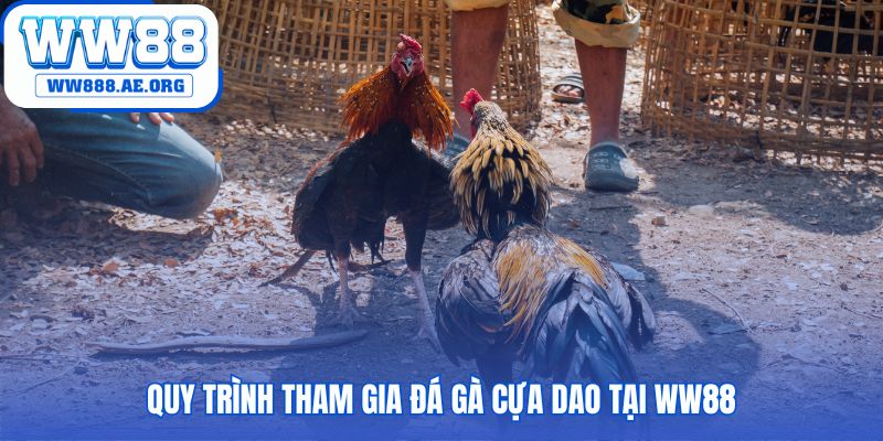 5 bước tham gia đơn giản để xác nhận phiếu đặt cược