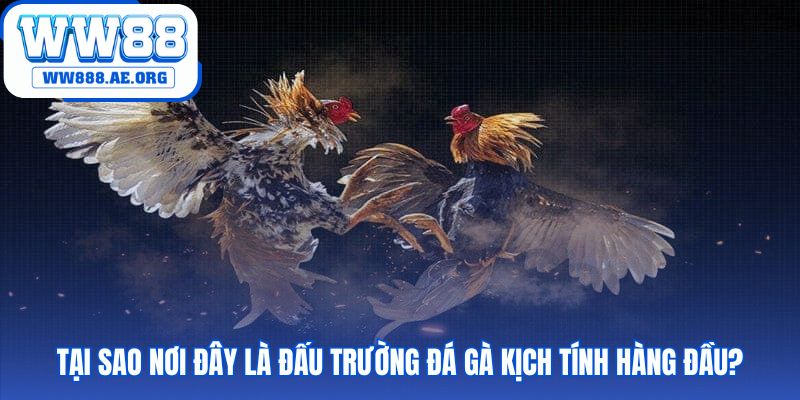 Vị thế hàng đầu nhờ sự kết hợp các yếu tố đỉnh cao