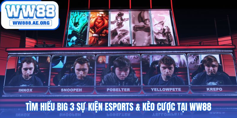 Major tournaments E-Sport WW88 quy tụ ba đấu trường đỉnh cao