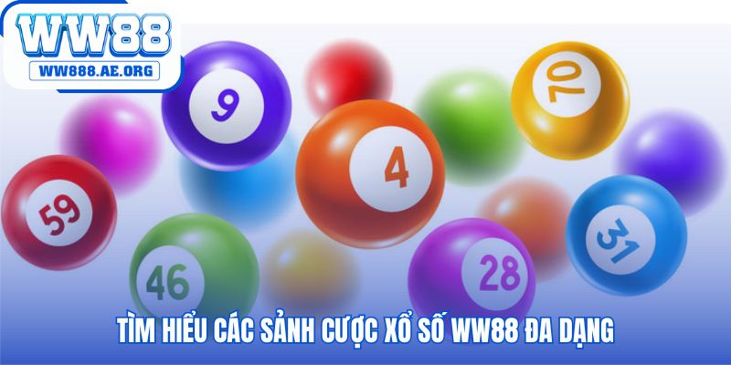 Hội tụ đa dạng sản phẩm từ truyền thống đến siêu tốc nhanh