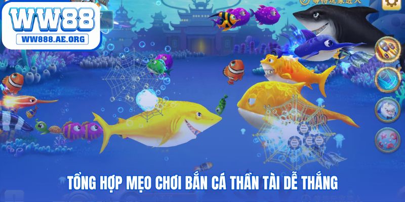 Mẹo chơi với chiến thuật săn thưởng hiệu quả