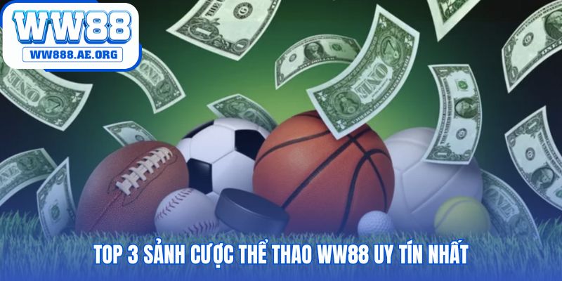 Giới thiệu các đối tác lớn như SABA CMD368 và AG Sports