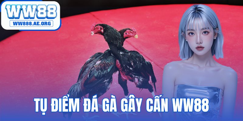 Tụ Điểm Đá Gà Gây Cấn WW88